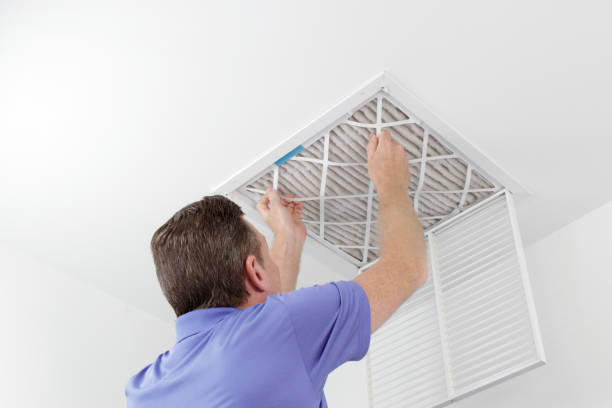 Air Duct Mold Removal in Brownsville, PA